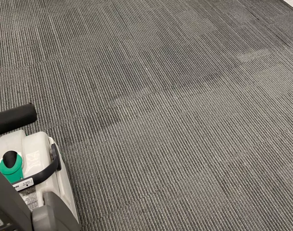 Carpet Cleaning 101