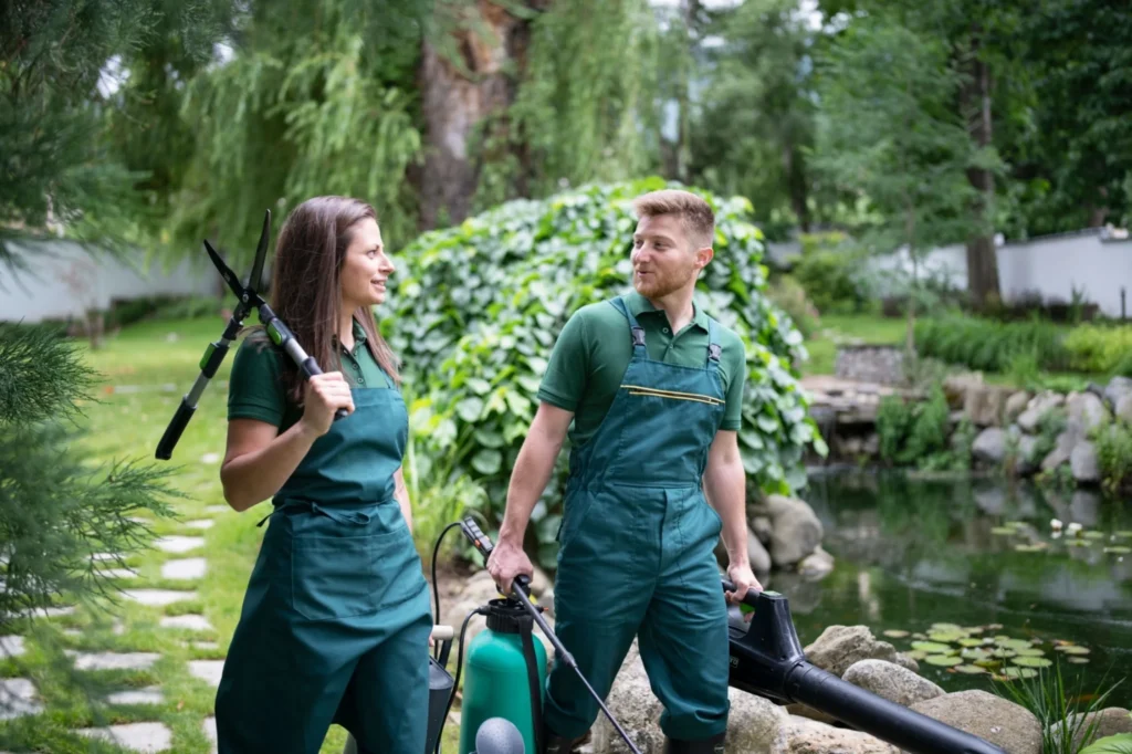 Lawn and garden Maintenance