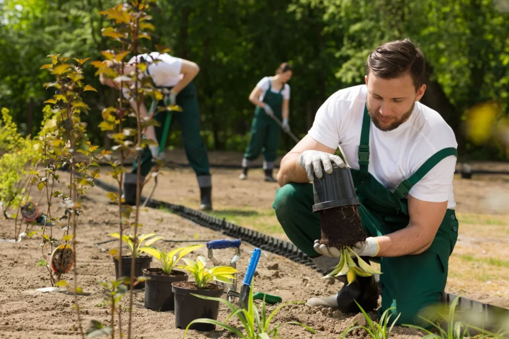 gardening services