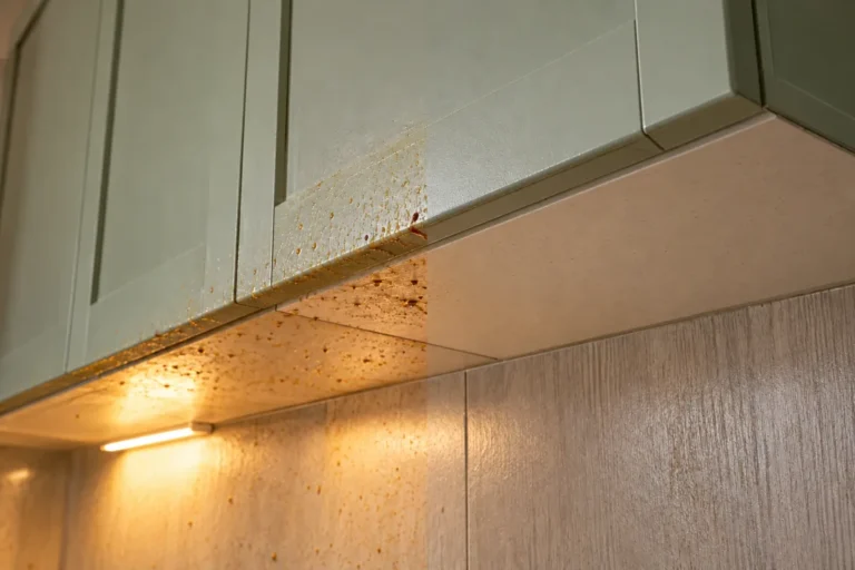 Grease spatter under green kitchen cupboards, the right half cleaned – deep cleaning