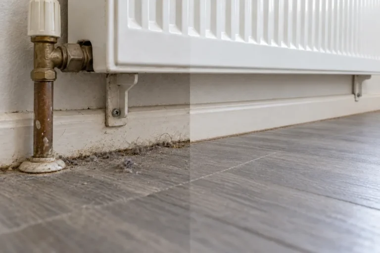 Dust and lint along the skirting under a radiator, the right half cleaned – deep cleaning in Melbourne