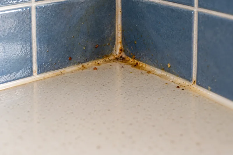 Grime and food bits built up where a speckled bench meets blue wall tiles – end of lease cleaning in Lara