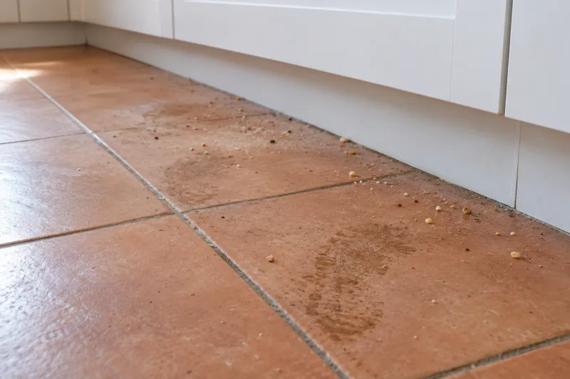 Terracotta kitchen floor tiles with crumbs and a dusty footprint mark – end of lease cleaning in Yarraville